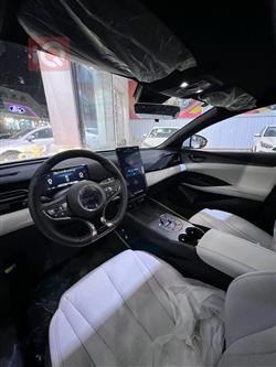 بی وای دی سيل 06 DM-i